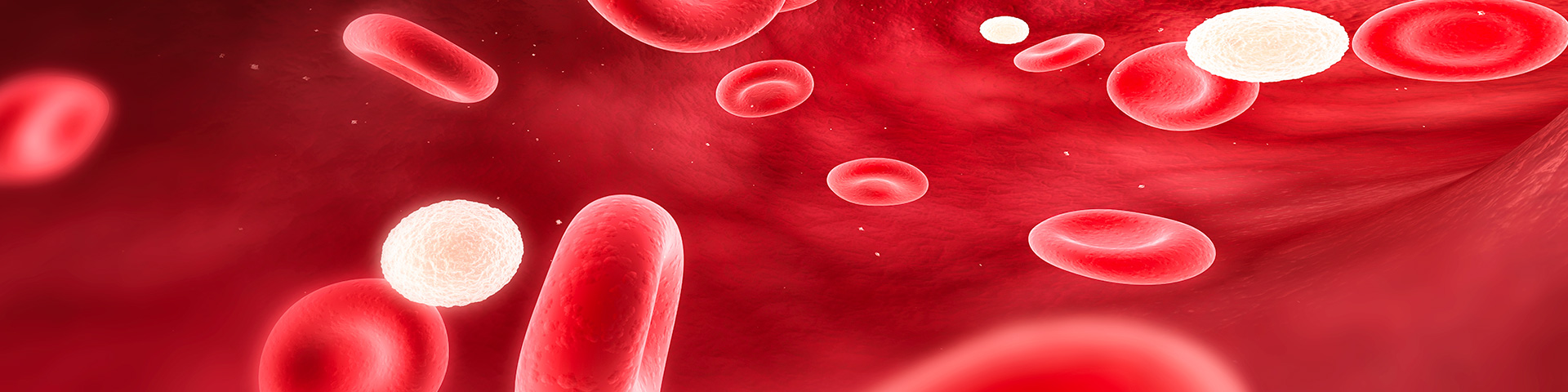 尊龙凯时 - 人生就是搏!-z6com